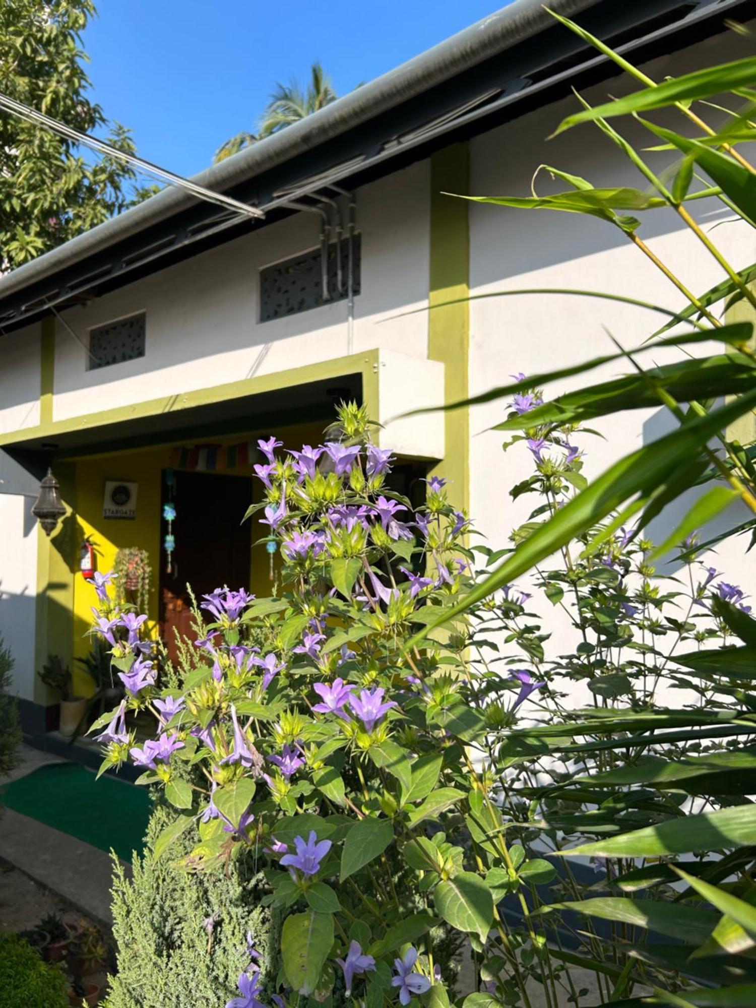 Stargaze Backpackers Hostel Гувахати Экстерьер фото